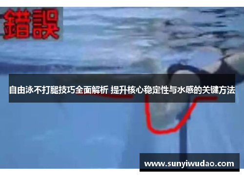 自由泳不打腿技巧全面解析 提升核心稳定性与水感的关键方法