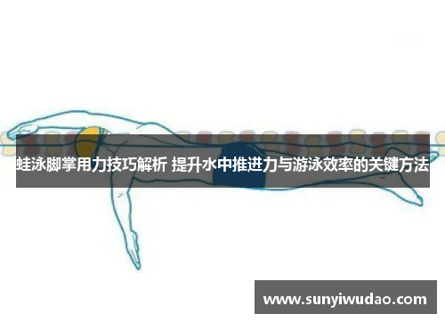 蛙泳脚掌用力技巧解析 提升水中推进力与游泳效率的关键方法