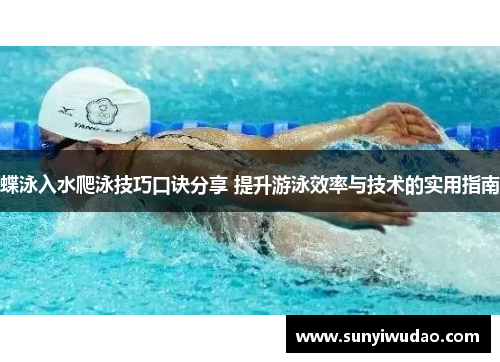 蝶泳入水爬泳技巧口诀分享 提升游泳效率与技术的实用指南